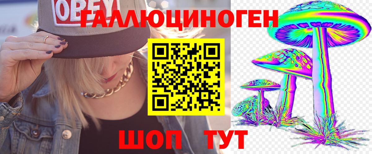 Волхов  Галлюциногенные грибы мухоморы  Псилоцибиновые грибы мицелий  Вход с VPN 