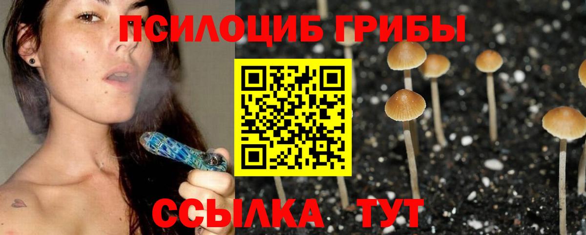 Псилоцибиновые грибы Psilocybine cubensis Волхов